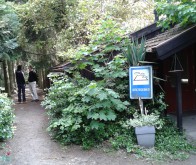 Sfeerimpressie camping - Camping &rsquo;t Haldert
